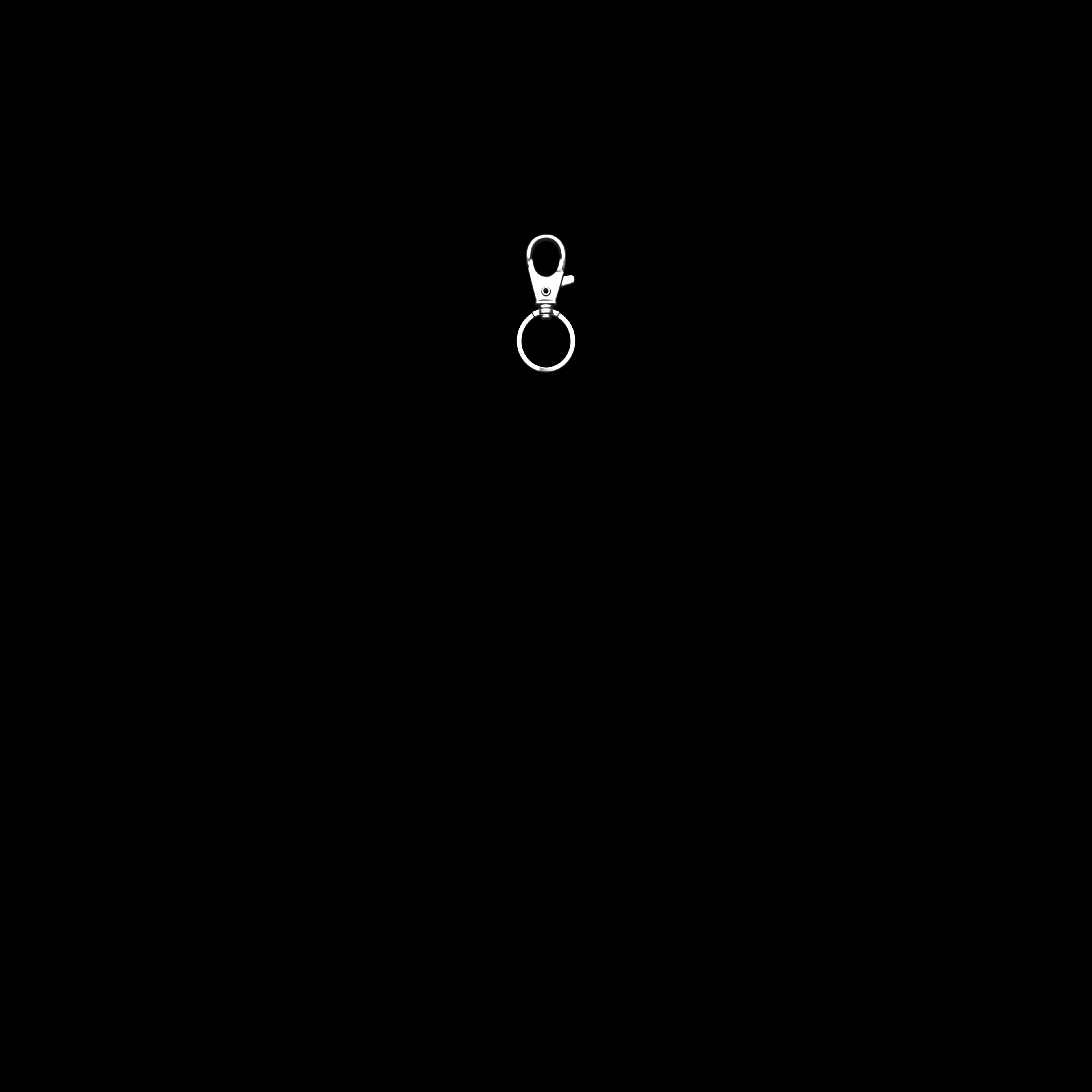 Clip